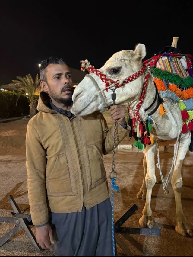 Camel Mehmed
